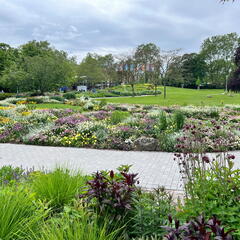 23-05-16 15-06-25 5414